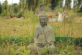 Grass, Buddha, Miscellanea, Miscellaneous, Buddhism, Meditation HD wallpaper