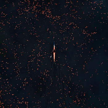 Water, Miscellanea, Miscellaneous, Petals, Boat, Canoe HD phone wallpaper