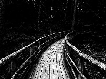 road to nowhere, road, white, black, dark HD wallpaper
