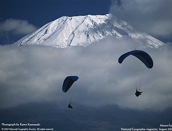 Parachuting, nature, bombata HD wallpaper