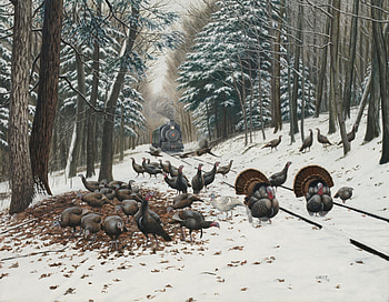 WILD TURKEY TRACKS, PAINTINGS, TRACK, WILD, SNOW, TRAIN, TURKEYS HD wallpaper