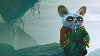 Master Shifu, Kung Fu Panda, Movie database, Character analysis HD wallpaper