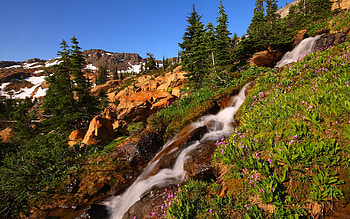 Mountain Stream, sky, flowers, waterfall, trees, spring, rocks HD wallpaper