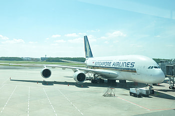 Singapore Changi International Airport, Singapore Airlines A380, Airbus A380 HD wallpaper