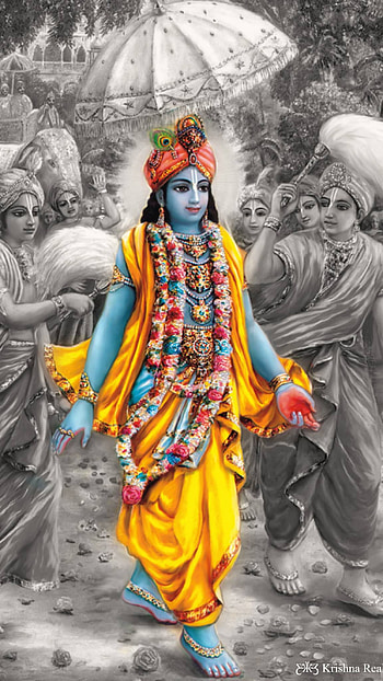 Krishna, Shree Krishna, Shree Narayan, Govind, Kanha HD phone wallpaper