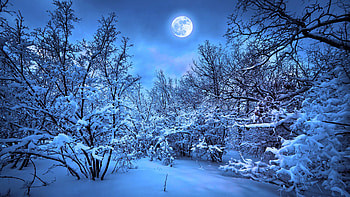 Winter Snow Nature , winter, snow, nature, trees, moon HD wallpaper