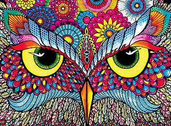 Owl, colorful, abstract, bird, flower, texture HD wallpaper