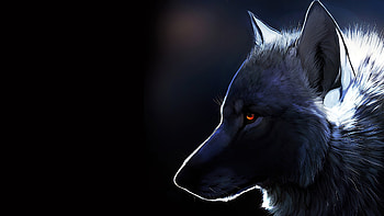 Wolf Glowing Eyes , wolf, animals HD wallpaper
