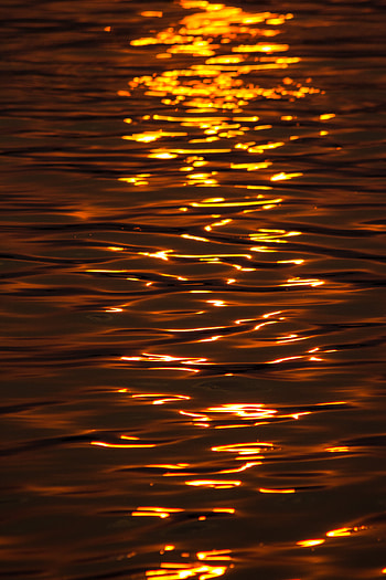 Nature, Water, Sunset, Glare, Ripples, Ripple HD phone wallpaper