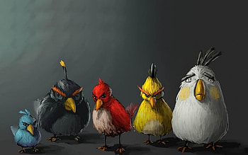 Angry Birds, Game , Feathered frenzy, Avian adventure HD wallpaper