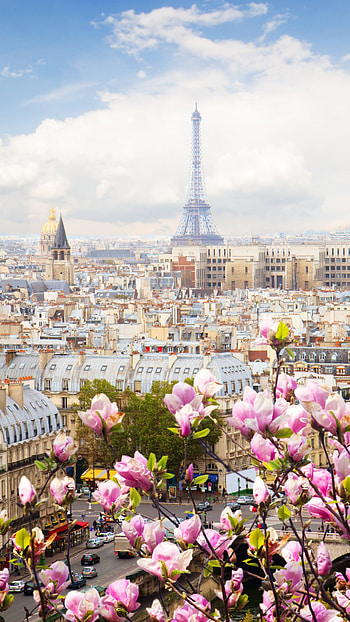 Eiffel Tower, Paris, Flowers, Beautiful blossom HD phone wallpaper