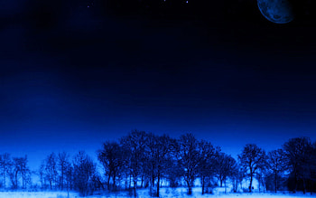 Nature, Trees, Stars, Night, Moon, Sleep, Dream HD wallpaper