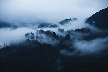 Landscape, Nature, Trees, Mountains, Clouds, Fog HD wallpaper
