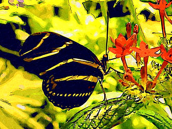 Zebra Longwing, butterfly, green, longwing, red flowers, yellow and black HD wallpaper