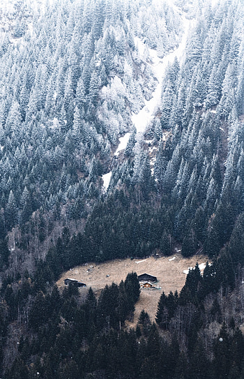 Nature, Snow, Mountain, Forest, Small House, Lodge, Slope HD phone wallpaper