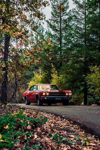 Cars, Car, Alley, Machine, Retro HD phone wallpaper