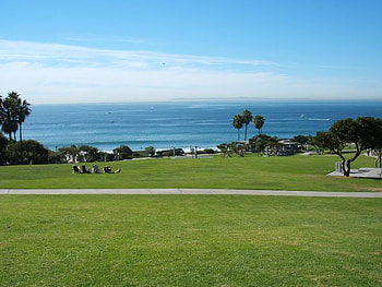Catalina Island, field, trees, sky, nature, grass, ocean HD wallpaper