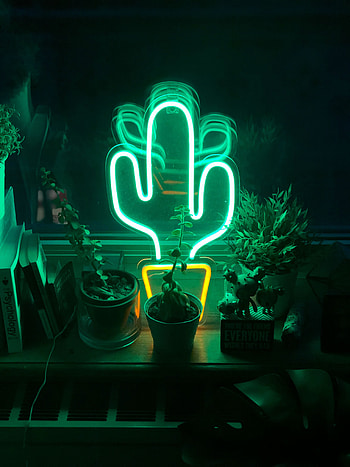 Neon, Flowers, Shine, Light, Miscellanea, Miscellaneous, Cactus HD phone wallpaper