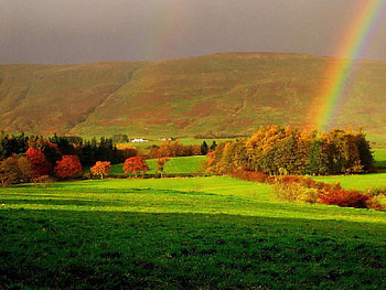 Autumn rainbow, hills, sunlight, orang red gold, colors, grass, country, rainbow, arch, trees HD wallpaper