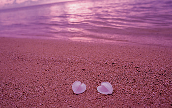 Pink, Beach, Sand, Shells, Shore, Bank, Miscellanea, Miscellaneous, Heart HD wallpaper