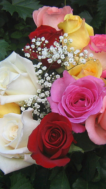 Beautiful Flowers Roses, Colorful, Flowers Bouquet HD phone wallpaper