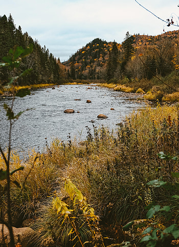 Nature, Rivers, Autumn, Forest, Hills HD phone wallpaper