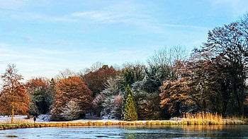 Winter colours in Belgium, trees, river, frost, ice, sky HD wallpaper