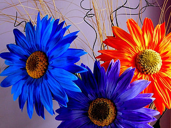 Bouquet, colorful, flowers, pretty, flora HD wallpaper