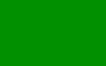 Solid Green Color PC, Android, and iPad. . HD wallpaper