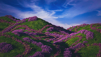 The Hills, nature, mountains HD wallpaper