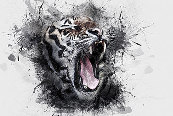 Art, Grin, Tiger, Watercolor HD wallpaper