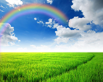 Nature Rainbow Sky Fields Scenery Grass Clouds HD wallpaper