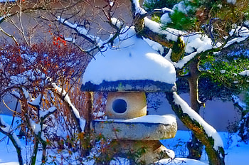Housebird, winter, graphy, wonderful, snowflakes, snowflake, snow, trees, , sun, cold, beautiful, tree, nature, sky, lovely, splendor, ice HD wallpaper