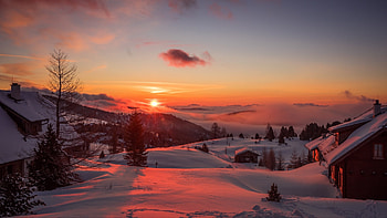 Winter Sunrise, winter, snow, sky, nature, cottage, houses, sunrise HD wallpaper