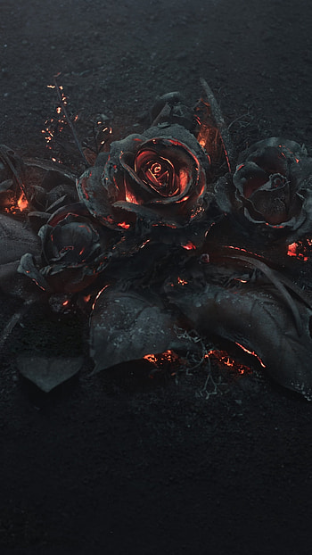 Artistic Ember Rose, flower, artistic, rose HD phone wallpaper