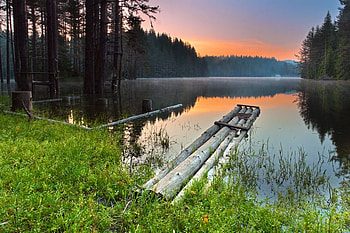 July Morning, graphy, grass, sunrise, nice, lake, wood, reflection, green, bulgaria, trees, nature, , water, forest, sunset HD wallpaper