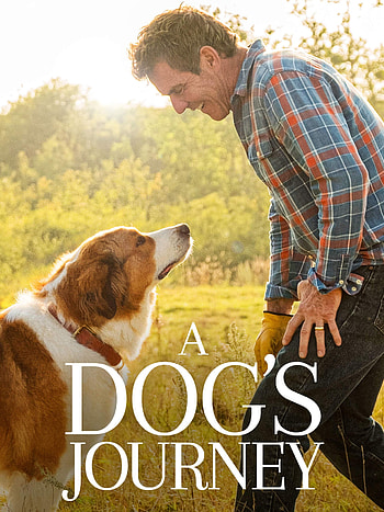 A Dog's Purpose, Top , Backgrounds, Canine companions HD phone wallpaper