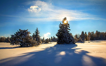 Beautiful View, blue, winter, Beautiful, snow, trees, nature, sky, sun, forest HD wallpaper