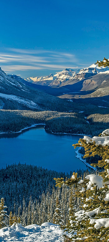 Peyto Lake — Banff National Park, Canada | Nature , Canada, lake, nature HD phone wallpaper