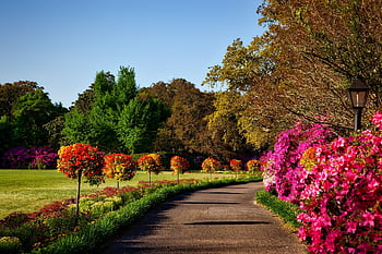 A scenic outdoor garden with vibrant floral displays, perfect for backgrounds or . HD wallpaper