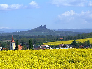 Village Beyond, sky, plants, village, yellow HD wallpaper