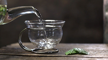 Healing properties, Nectar-rich plant, Lemon Balm herb, Britannica article HD wallpaper