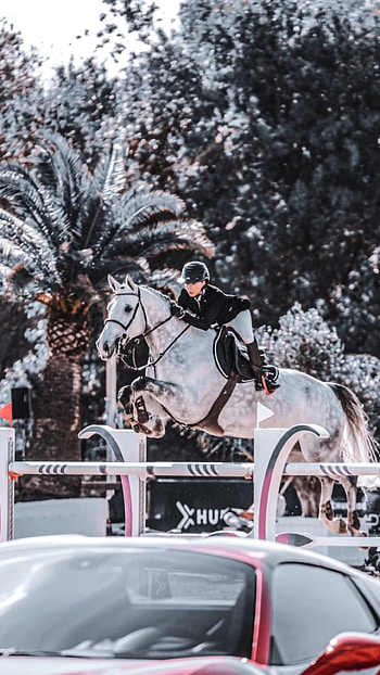 Saut d'obstacles, horse, equitation, cheval HD phone wallpaper