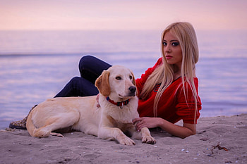 Girl and dog, dog, sweet, animal, dogs, cute, beautiful, puppys, puppy, pretty, animals, lovely HD wallpaper