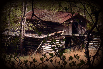 barn, alabama, old barn, fall, nature, tree HD wallpaper