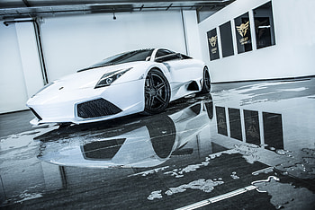 vehicle, Lamborghini Murcielago HD wallpaper