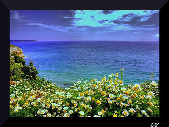 please dont wilt, sea, flowers, wilt HD wallpaper