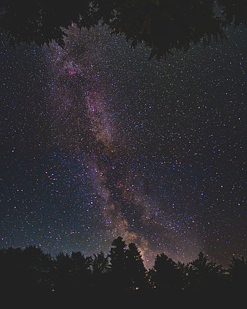 Trees, Stars, Night, Dark, Shine, Starry Sky, Brilliance, Milky Way HD phone wallpaper