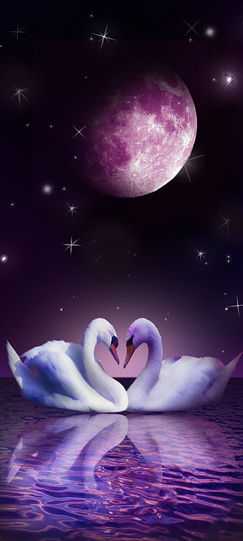 Purple Swan Couple, atmosphere, moon HD phone wallpaper