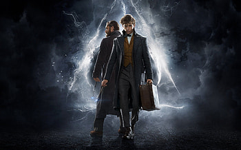 Albus Dumbledore, Eddie Redmayne, Fantastic Beasts, Movies HD wallpaper